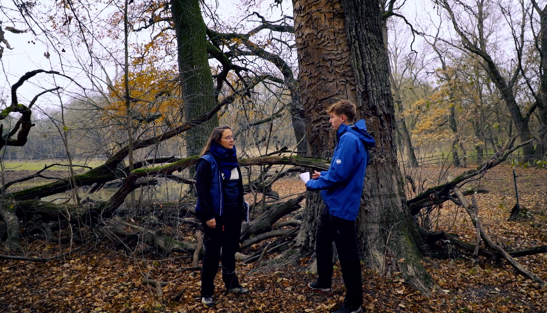 Klima und Du – Zustand der Österreichischen Wälder