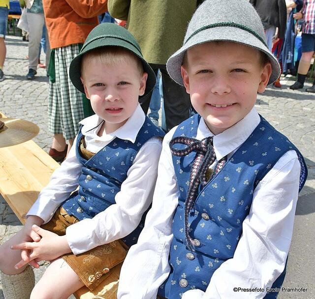 Färbermarkt in Gutau!